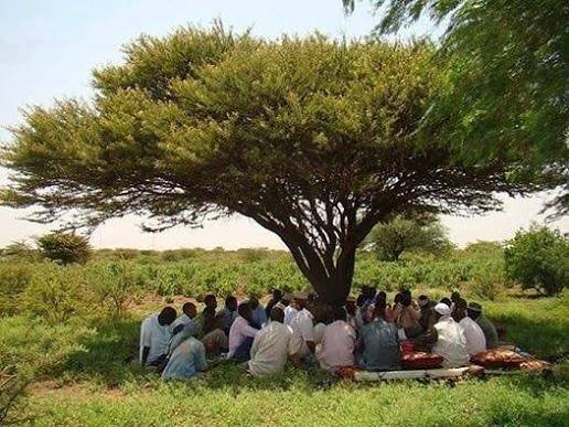 In the Midst of the Chaos, There Is a Lesson to Be Learned — The Somali Paradox — image 5